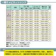 東製作所   一槽キャビネットシンク　AP1-1200H